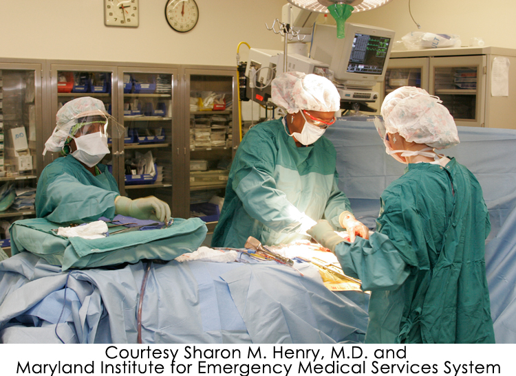 History Opening Doors Contemporary African American Academic Surgeons