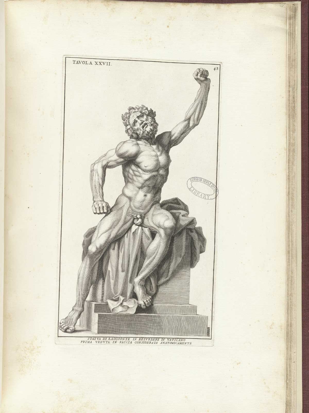 Engraving of the statue of Laocoon without his sons or the large snake which ate them; the nude facing seated figure has his left arm raised in struggle clenched in a fist as his right arm pushes down at his side, also with a clenched fist; his face faces the viewer with a look of struggle and agony.