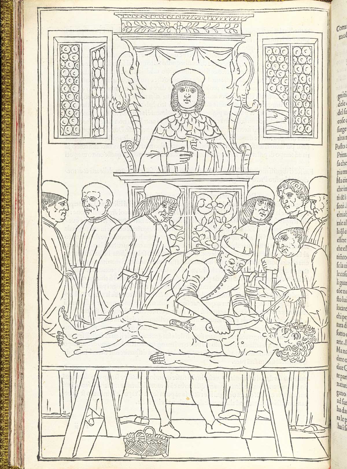 The dissection of a cadaver. This is the first realistic depiction of an anatomy lecture held at a university, namely in an academic hall at the University of Padua. In the chair, a relatively junior doctor, the lector, is set to recite from Mondino’s Anathomia. Behind the table, to the right, a senior doctor begins to point, in his role of demonstrator or ostensor. The basket in front will collect all the parts, to be carefully reunited with the corpse for burial.