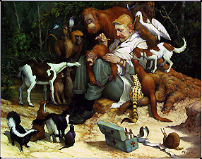Surgeon examining the arm of an orangutan, surrounded by both wild and domestic animals. Copyright: This image may not be saved locally, modified, reproduced, or distributed by any other means without the written permission of the copyright owners.