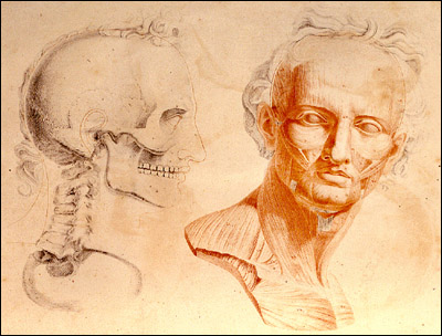 Dream Anatomy: Gallery: Jean-Galbert Salvage: Anatomie du gladiateur...