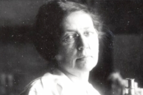 Dr. Anna Wessels Williams