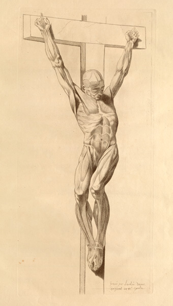 Dream Anatomy: A National Library of Medicine Exhibit