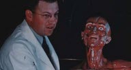 Still of a doctor with anatomical model.