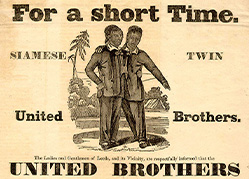 An advertisement with an engraving of the well-dressed twins set against a tropical background with a tent.