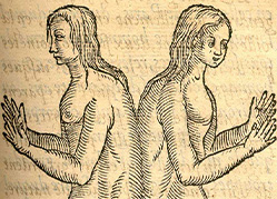 An illustration of two unclothed women with long hair joined all along their back.