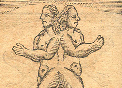 A rough illustration of two figures with long hair joined all along their back.