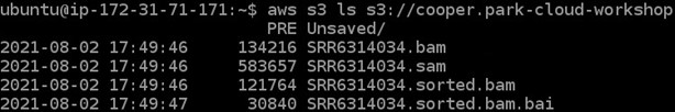 Showing the four files saved to our S3 bucket: ".bam", ".sam", ".sorted.bam", ".sorted.bam.bai"