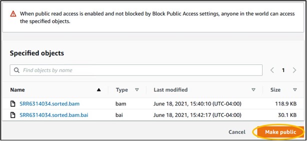 Highlighting the orange "Make Public" button on the bottom-right corner of the S3 page