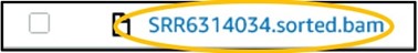 Highlighting the "SRR6314034.sorted.bam" file in our S3 bucket page