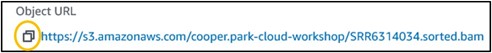 Highlighting the double boxes "copy" button next to the Object URL path in the S3 page