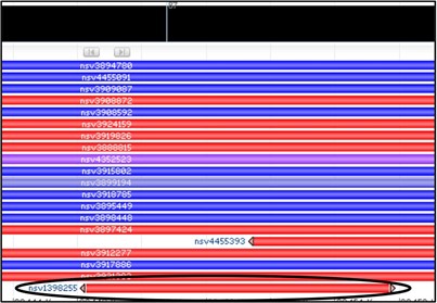 Highlighting the only variant which meets our criteria "nsv1398255"