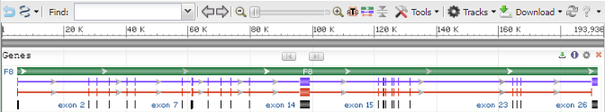 Image of the F8 Gene in NCBI's Sequence Viewer graphical tool