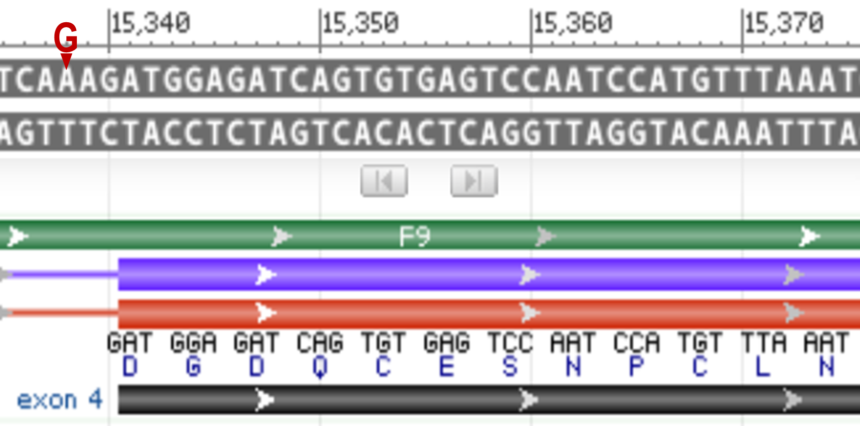 Image of the F9 Gene in NCBI's Sequence Viewer with the intronic variation indicted