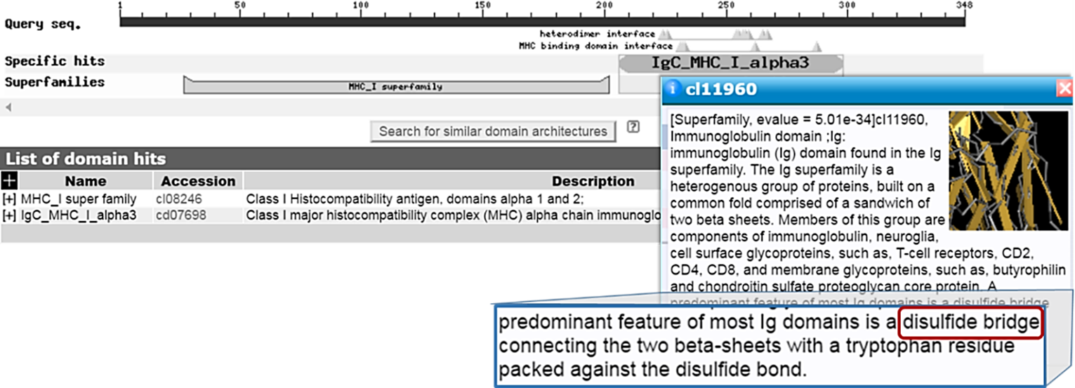 Image of the HFE Protein's domains in NCBI's CD-Search results.