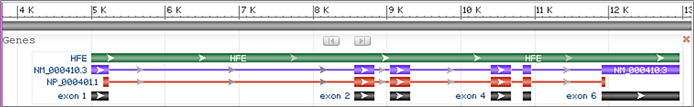 Image of the HFE Gene in NCBI's Sequence Viewer graphical tool