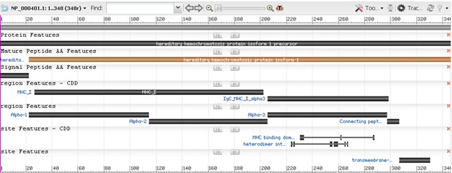 Image of the HFE Protein in NCBI's Sequence Viewer graphical Tool