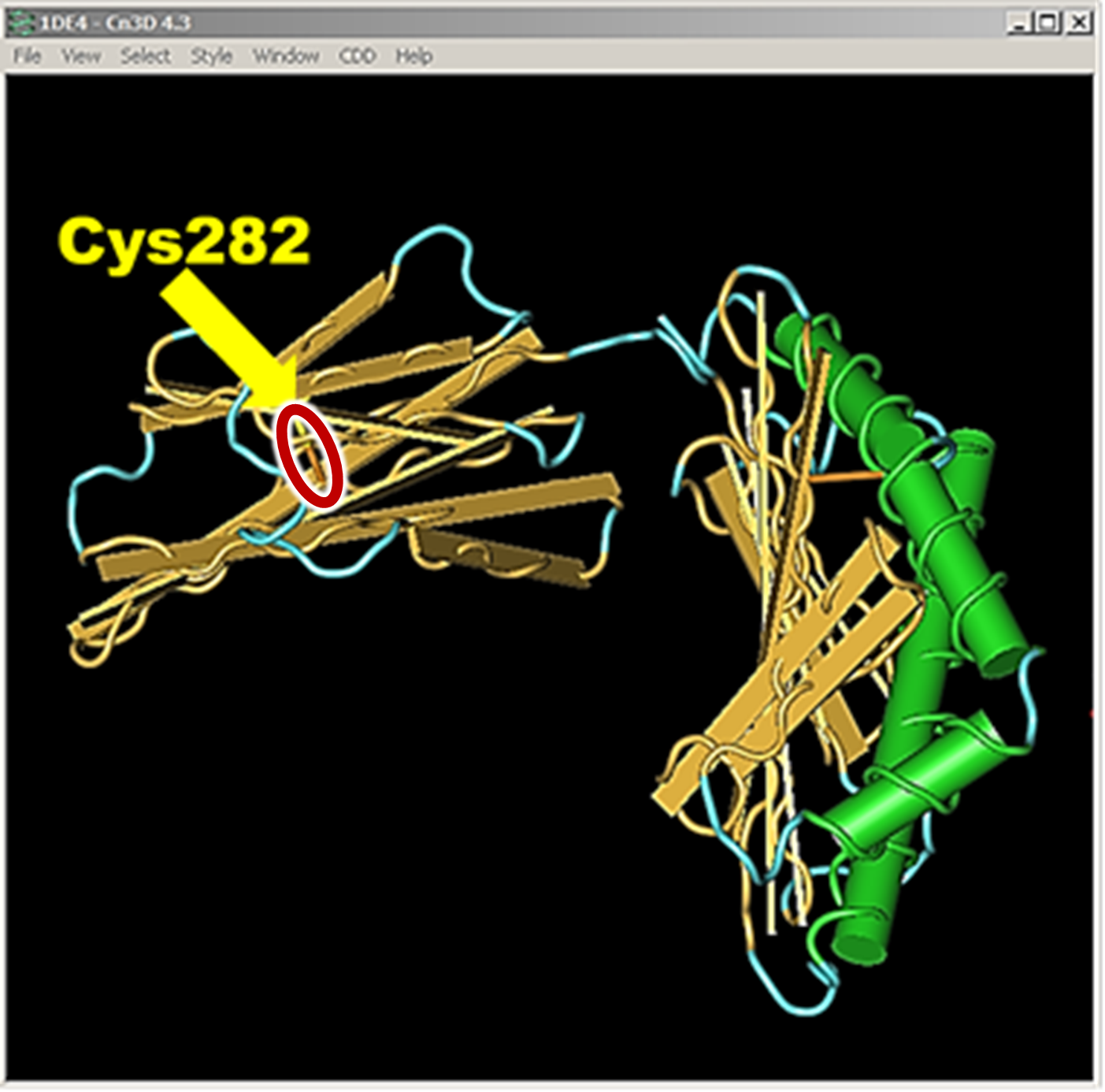 3D Image of the HFE protein in NCBI's Cn3D Structure viewer.