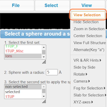 Screenshot from the iCn3D website, View Selection