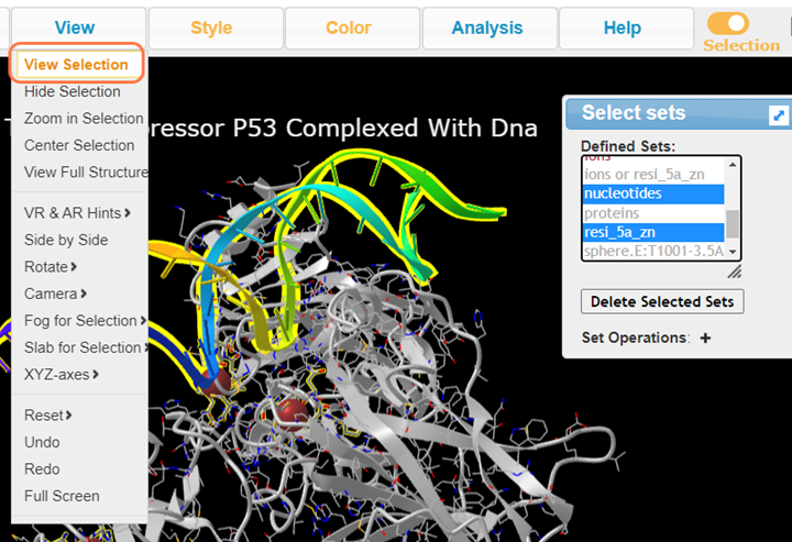 Screenshot from the iCn3D website, View > View Selection