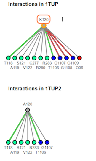 Screenshot from the iCn3D website,  Interactions map