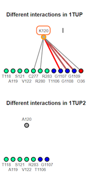 Screenshot from the iCn3D website,  Different nteractions map