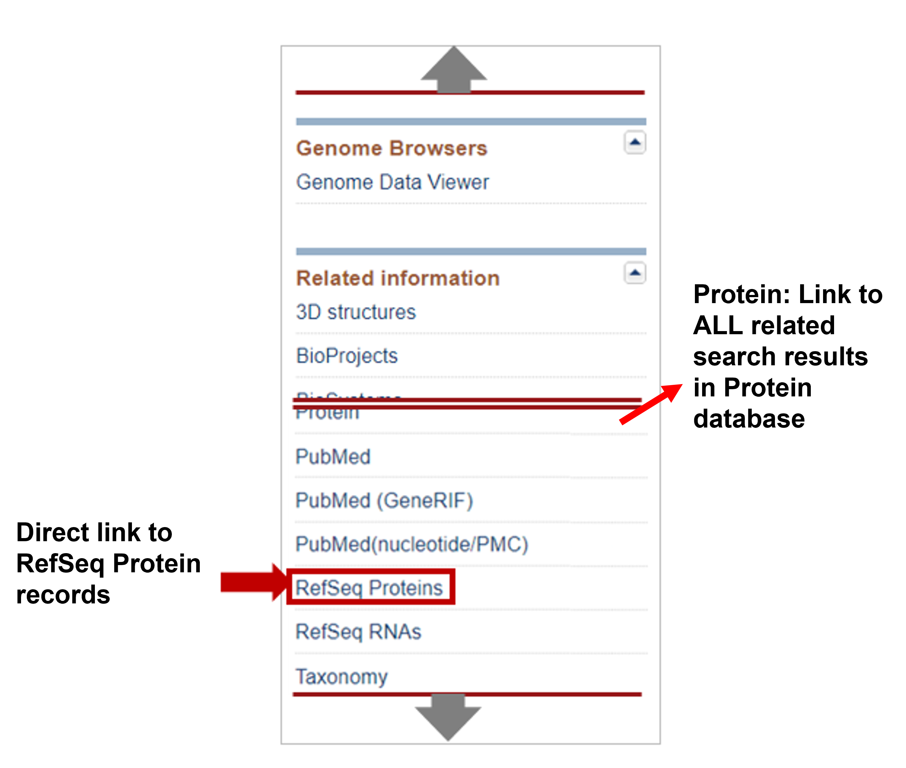 NCBI gene page related information menu