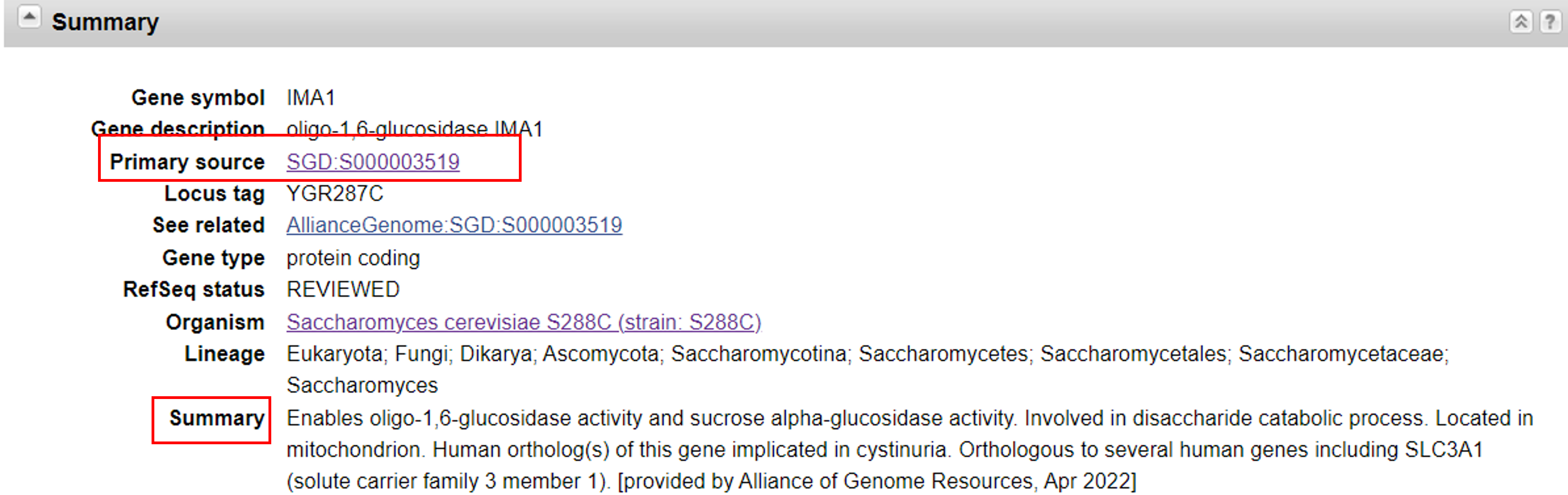 IMA1 gene page summary section