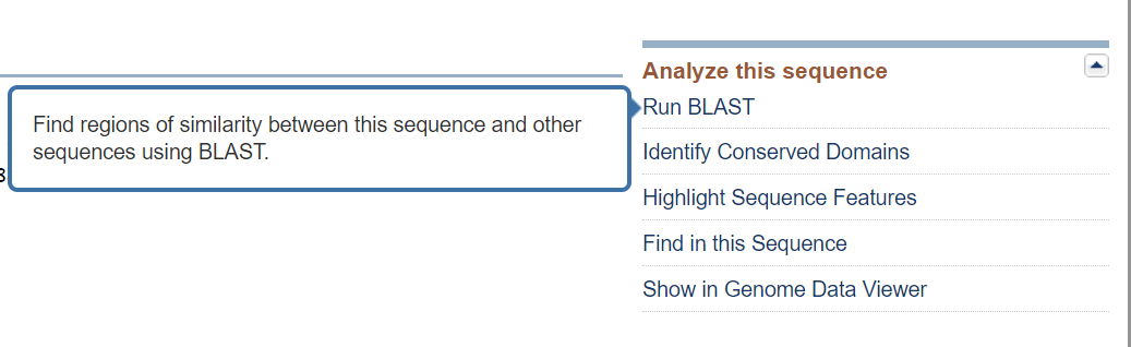 Analyze sequence menu from Refseq protein page