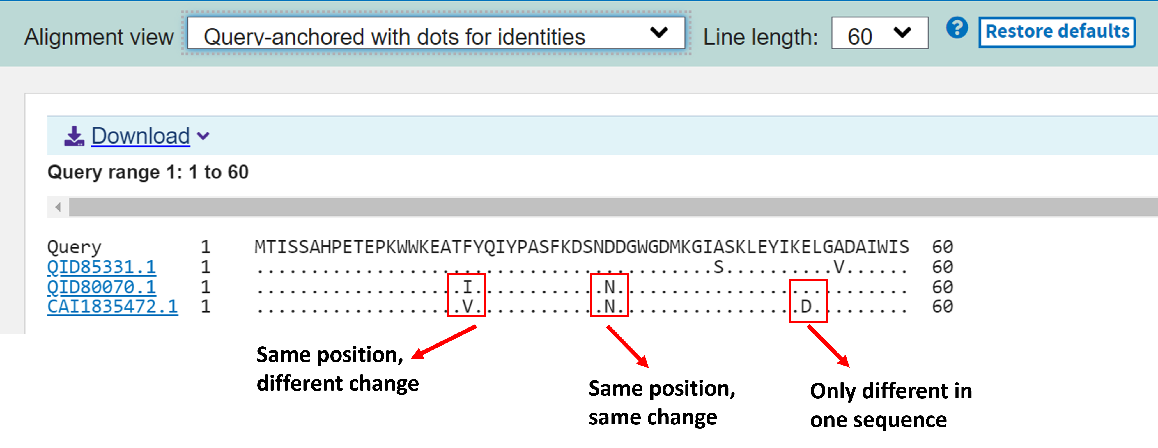 Example query-anchored output with dots for identity