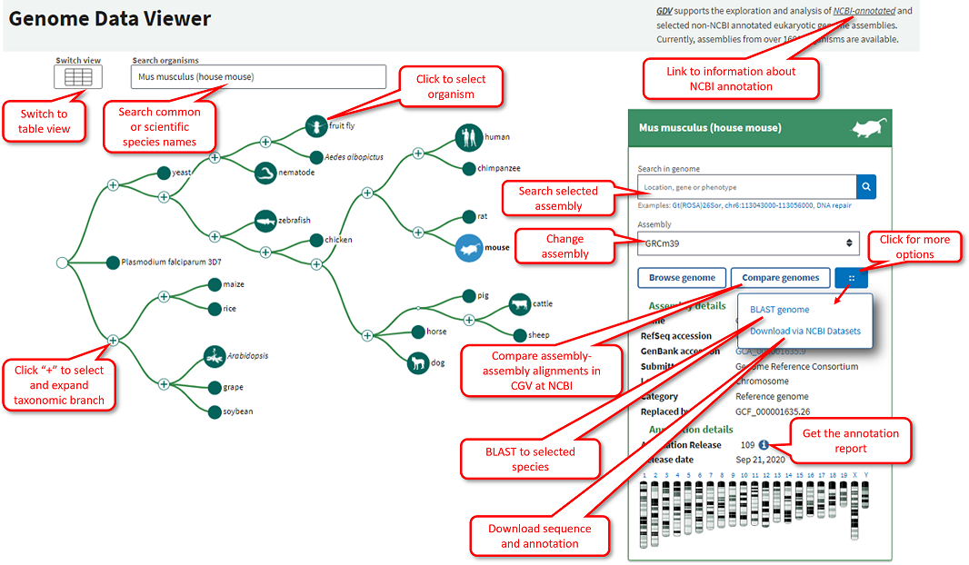 genome data viewer organism selectio tree