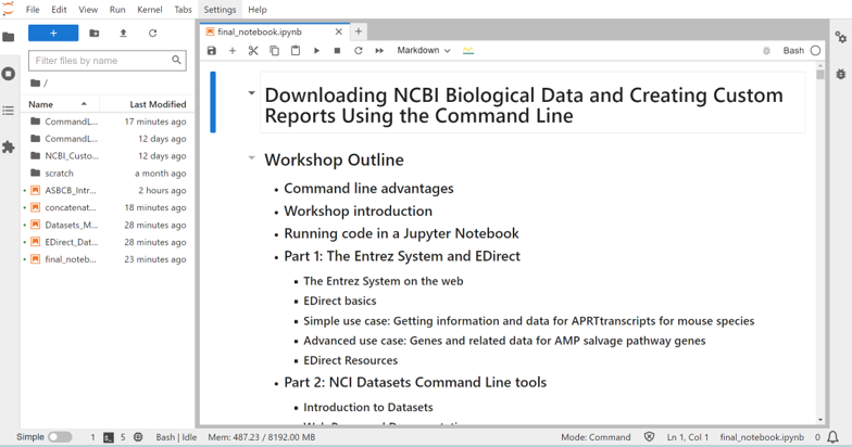 screenshot of notebook for custom reports workshop