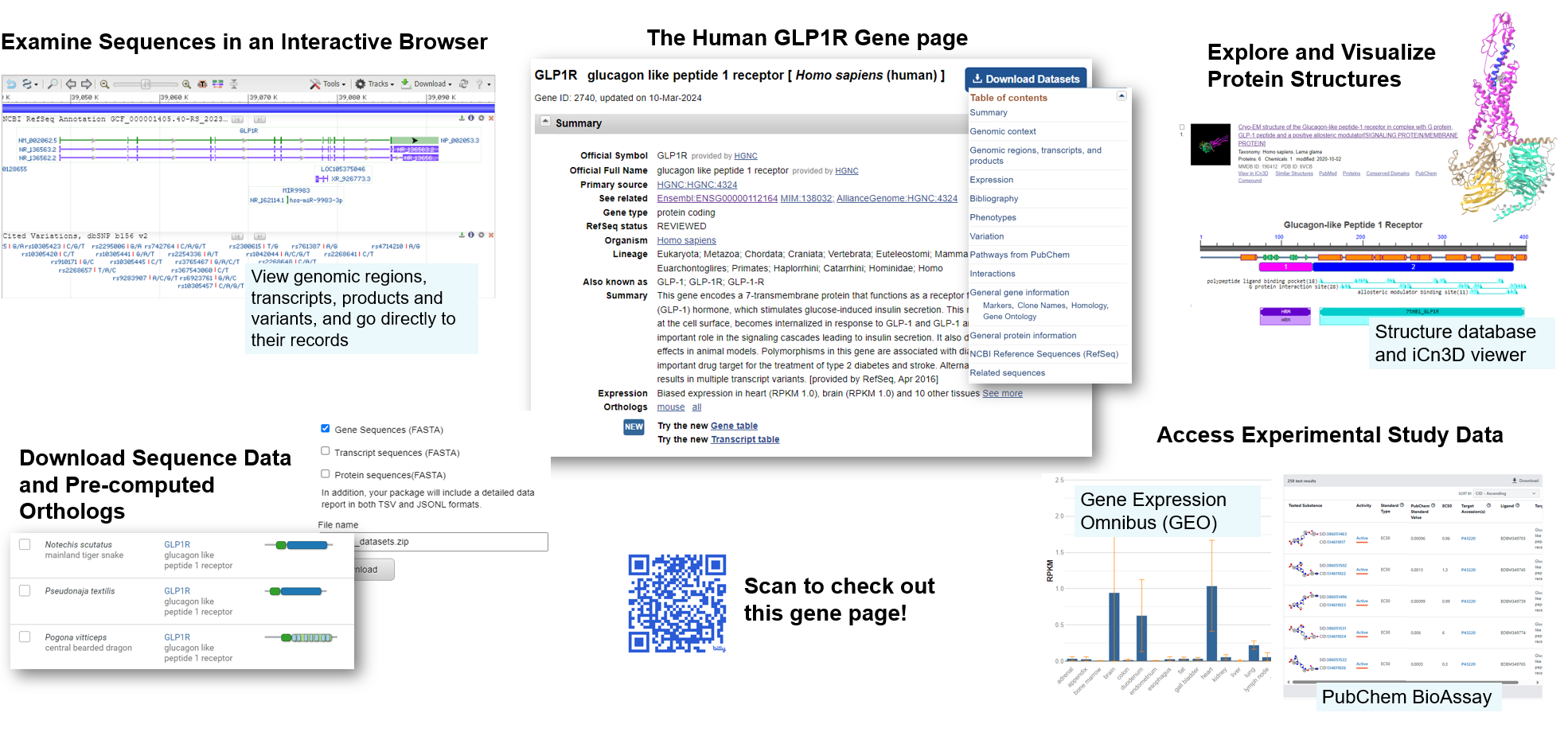 NCBI gene page as hub for downloading data