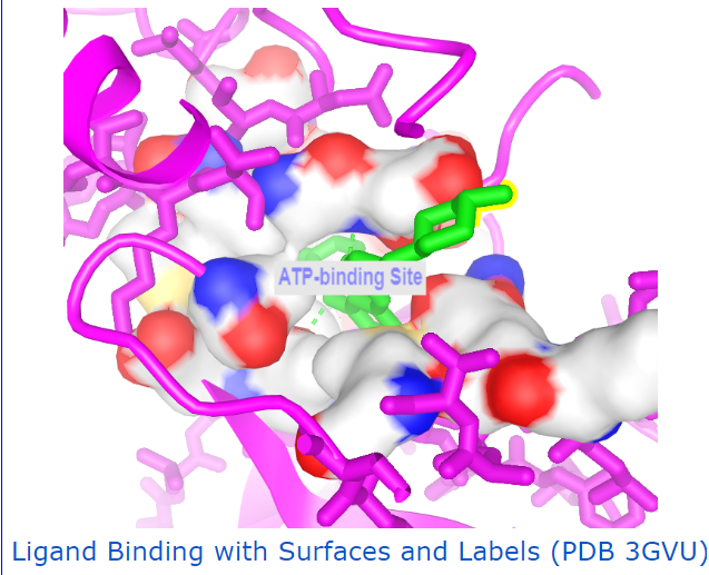 ligand binding example