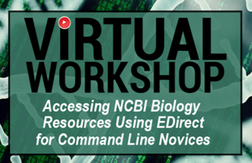 title image for edirect novices workshop