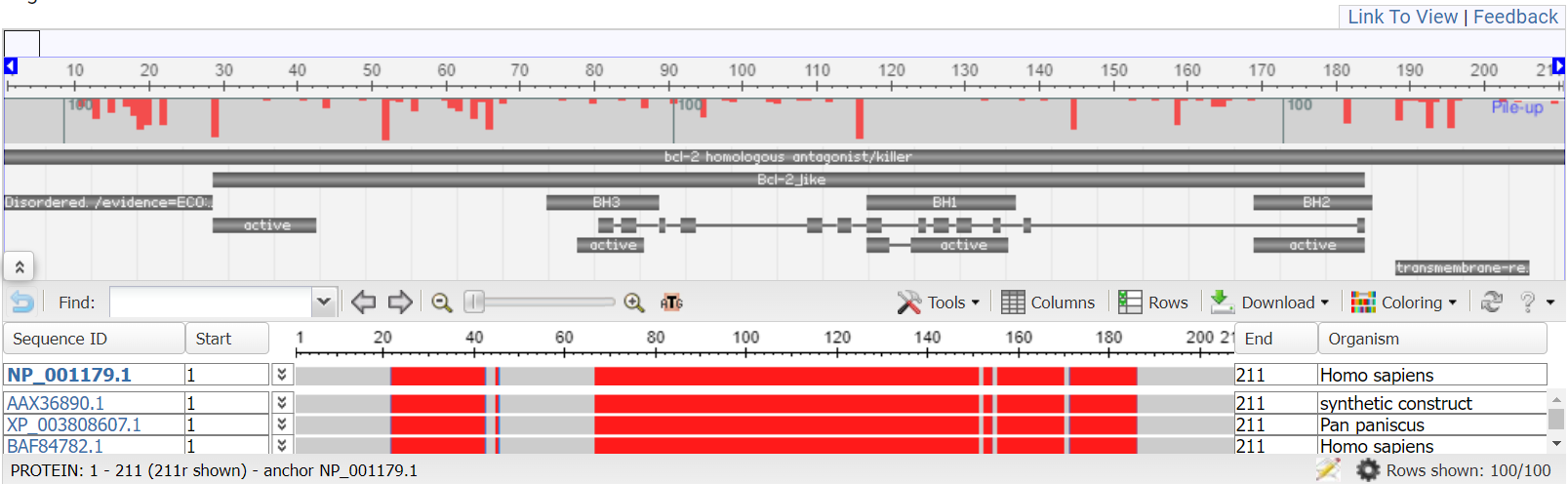 msa viewer result example