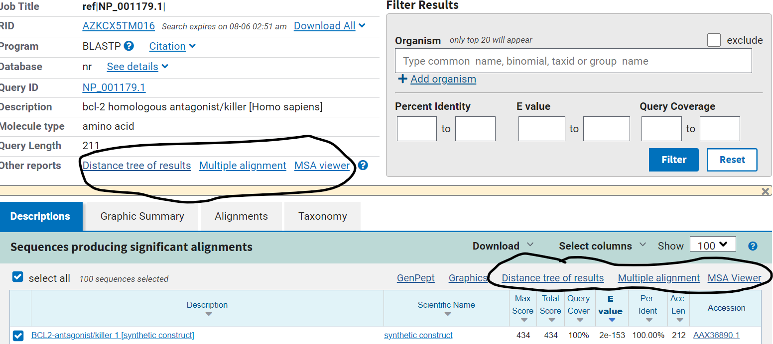 links to tree viewer and msa viewer from blast result