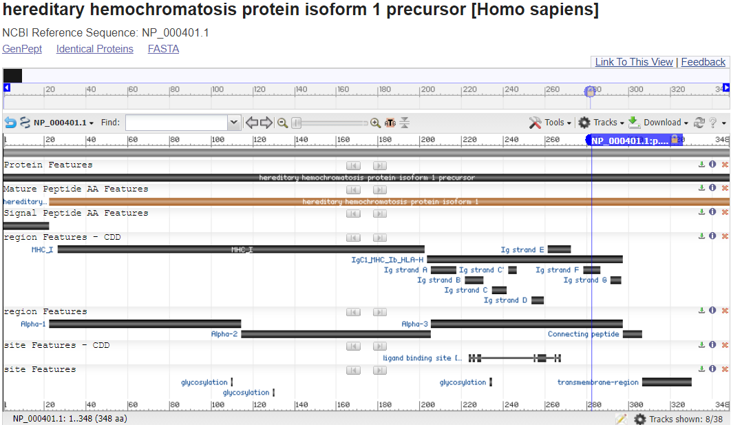 Image of RefSeq Protein view - HFE with a variant marker