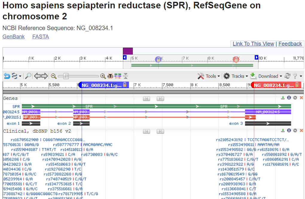 Image of RefSeqGene view - SPR with two variant markers