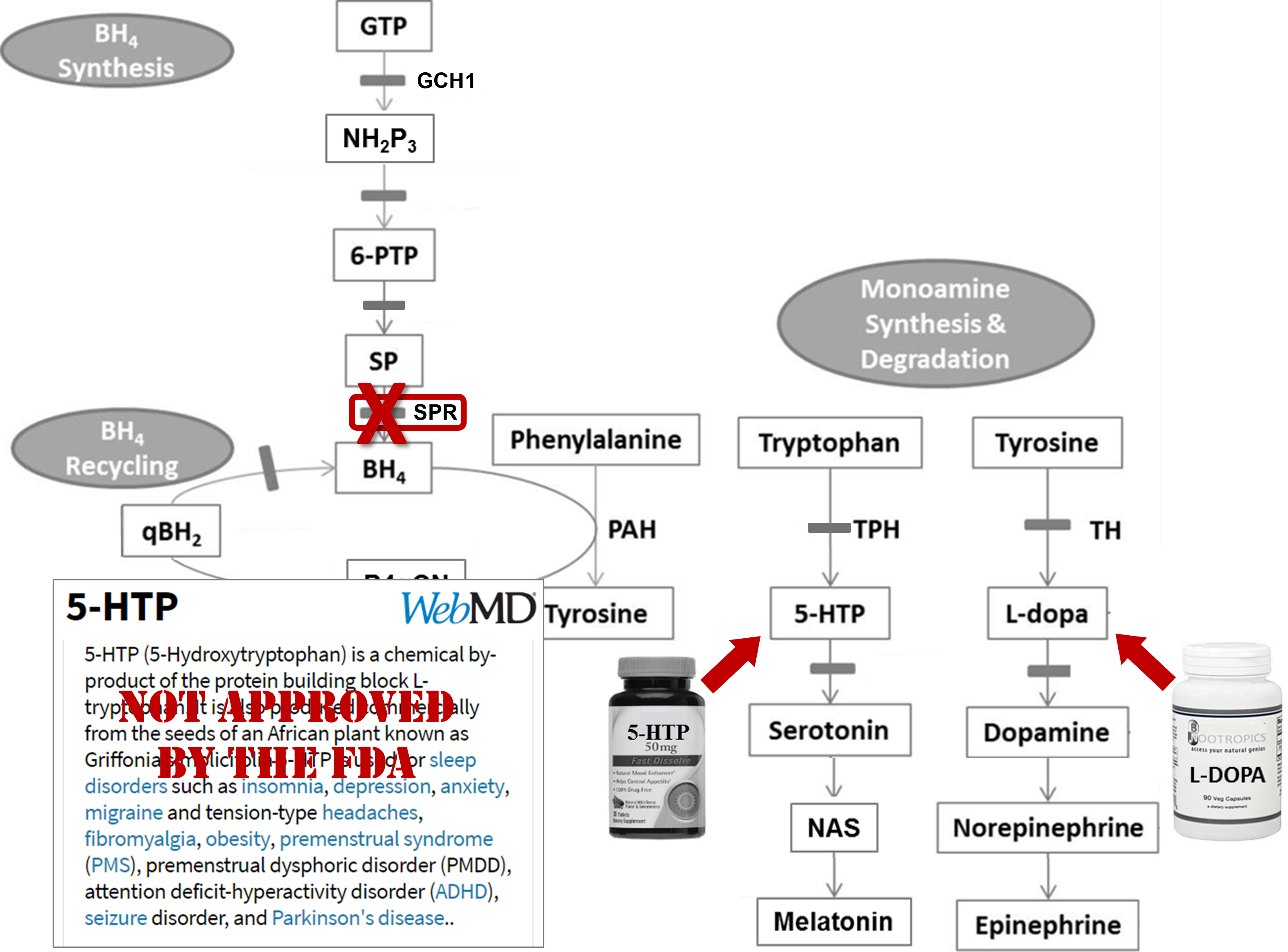 Image showing "Tetrahydrobiopterin (BH4) co-factor pathways" with prescriptive solution