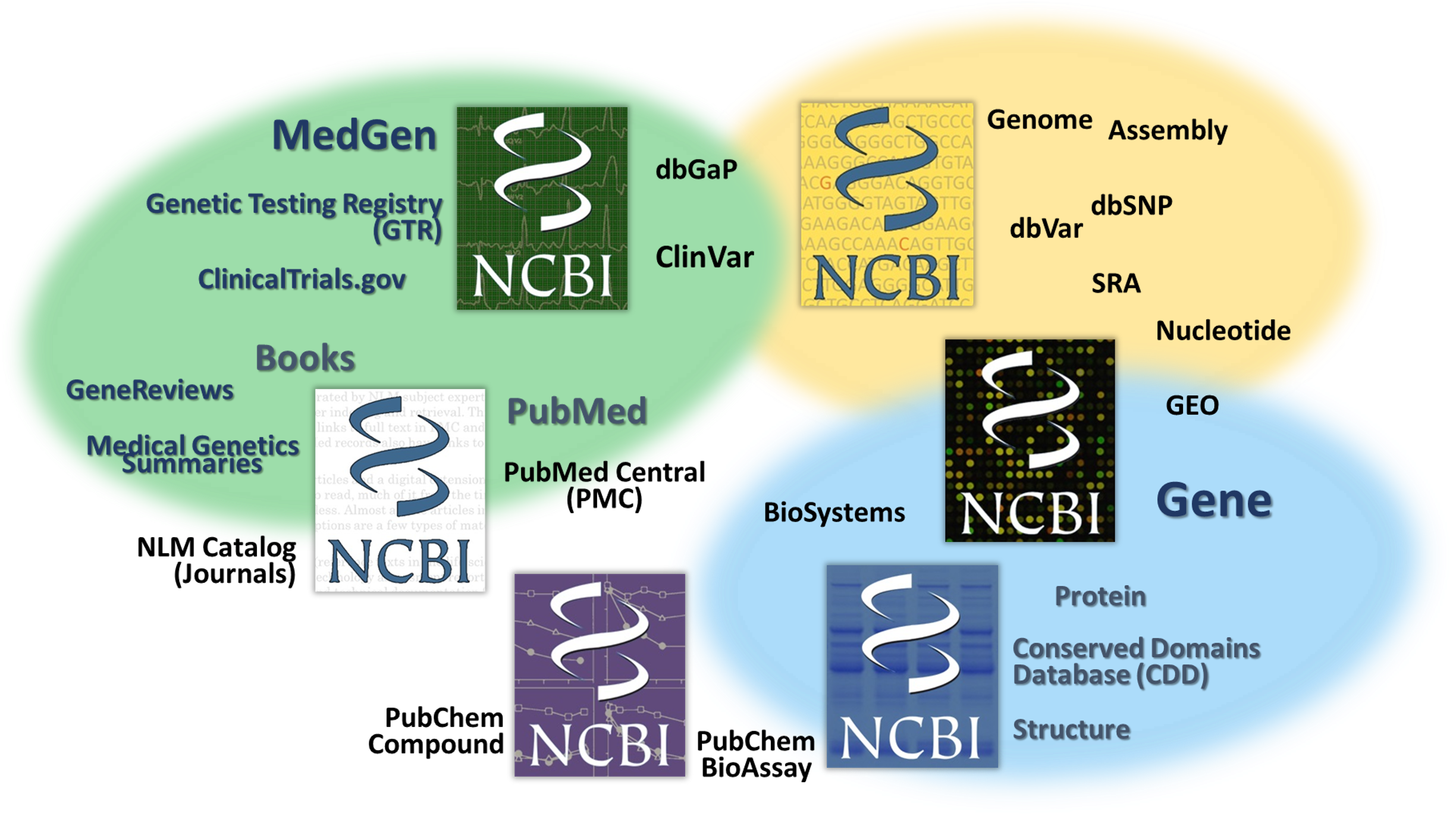 NCBI resources & discipline nodes