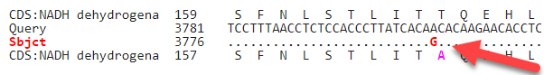 amino acid change