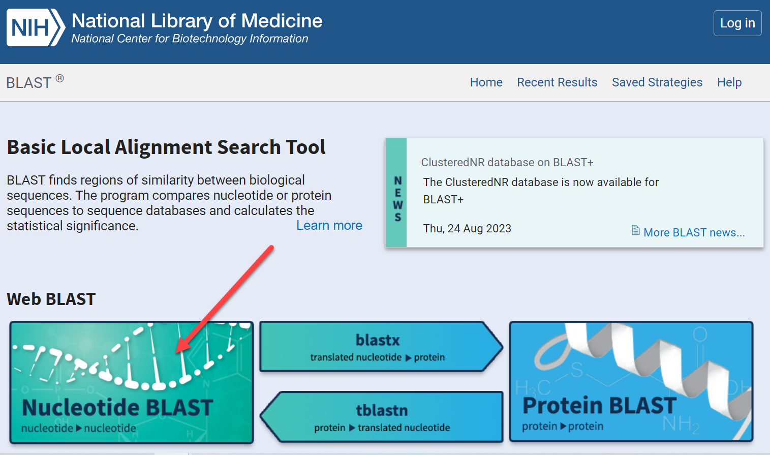 Nucleotide BLAST section of BLAST page