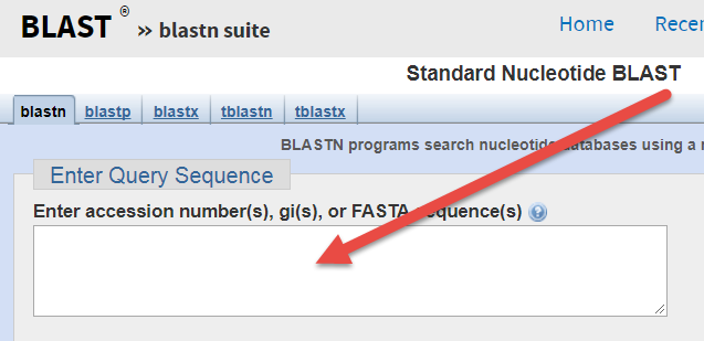 Enter Query Sequence box