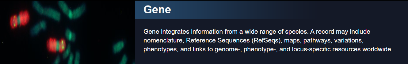 Gene integrates information from a wide range of species. A record may include nomenclature, Reference Sequences (RefSeqs), maps, pathways, variations, phenotypes, and links to genome-, phenotype-, and locus-specific resources worldwide.