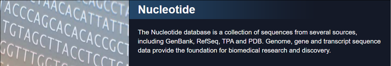 Nucleotide database screen shot