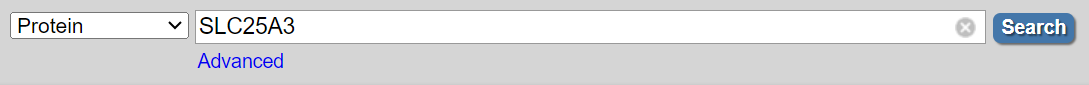 SLC25A3 in search bar