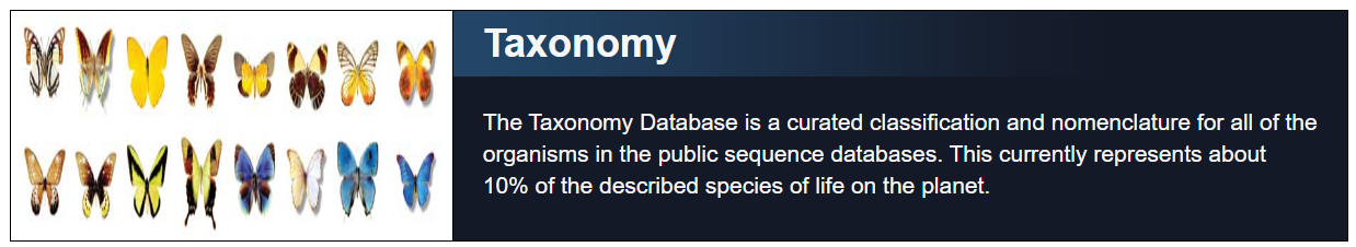 Image of Taxonomy Database Header