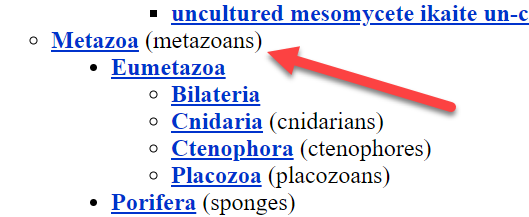 link to Metazoa