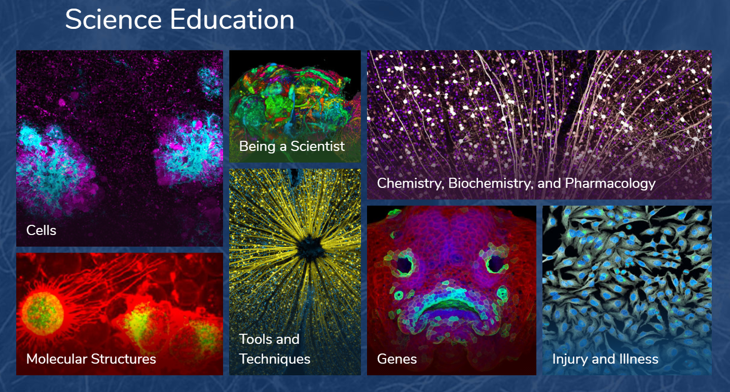 screenshot of the NIGMS Science Education Website.